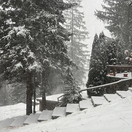 Vikendica Stjepko * Sisava
